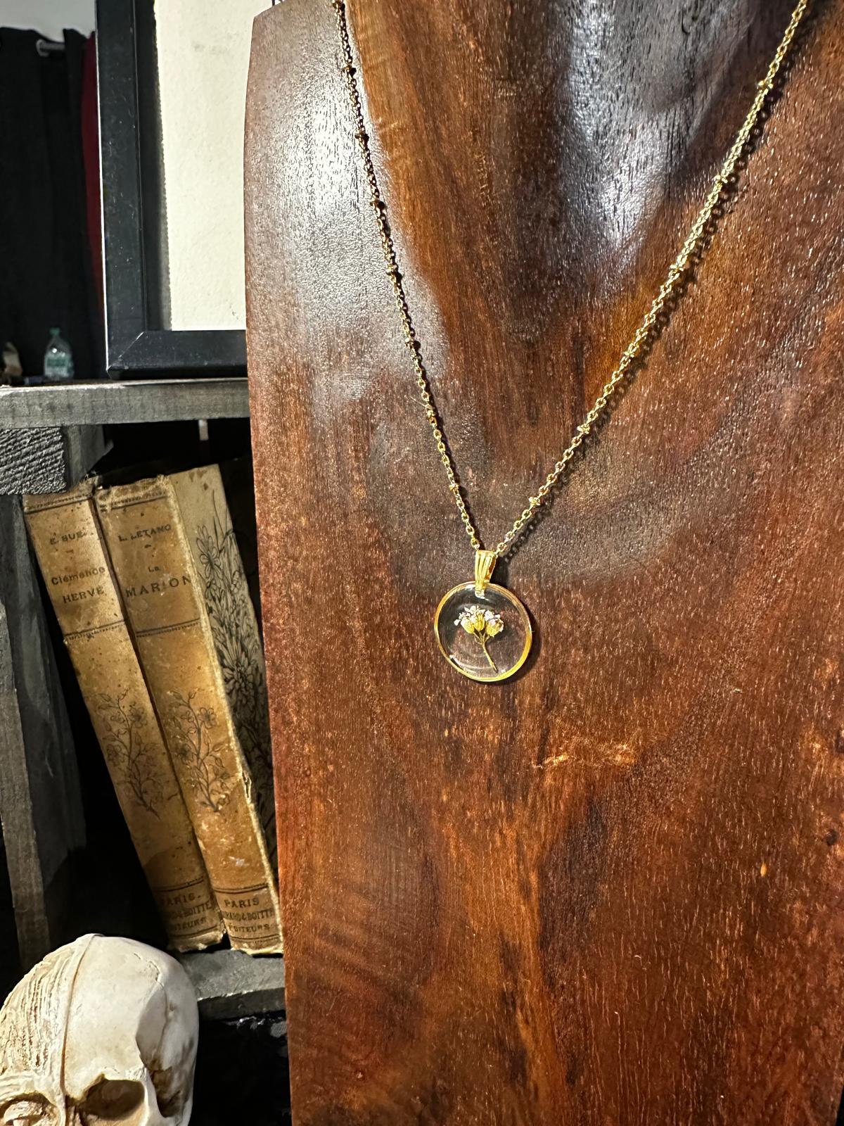 Achillee collier doré